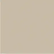Tan finish swatch