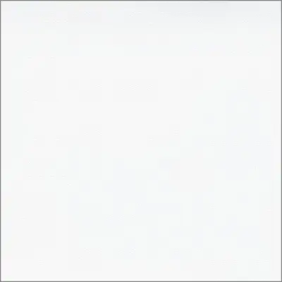 White finish swatch